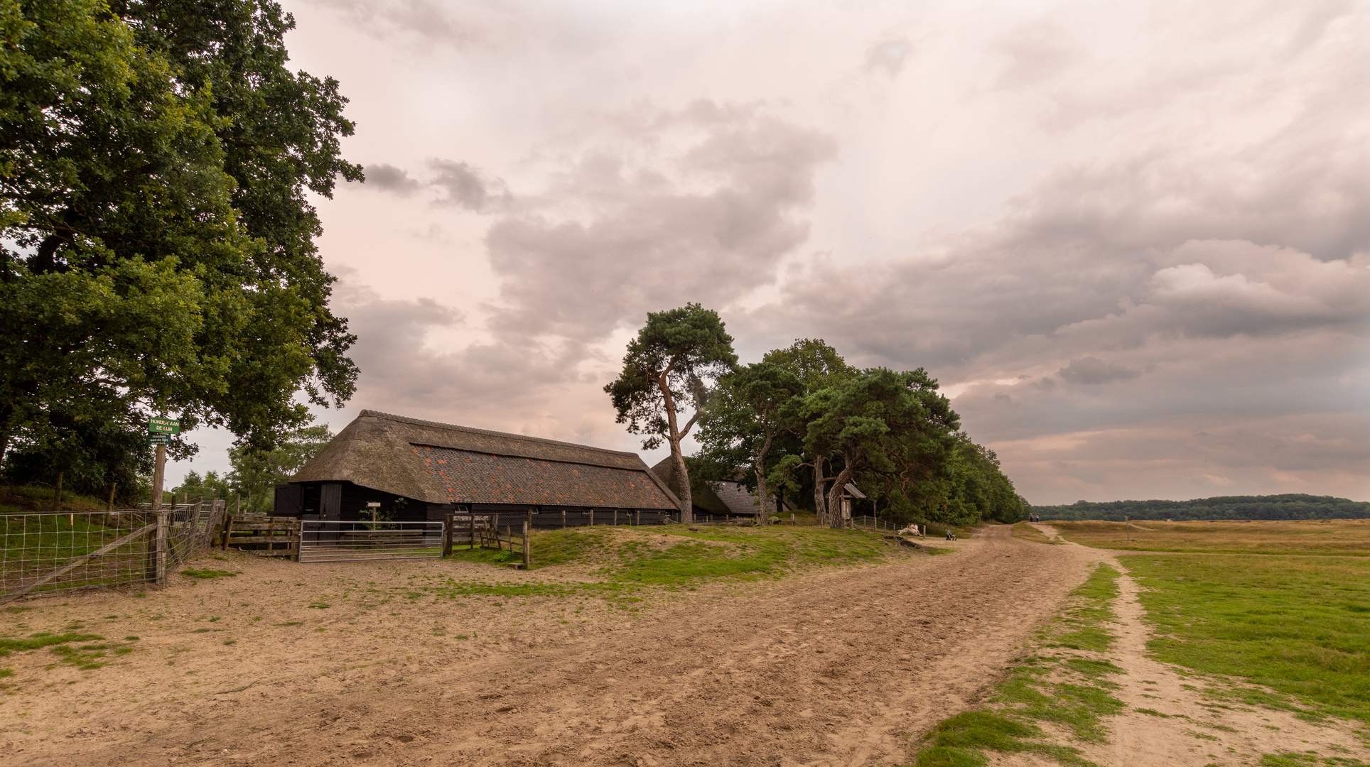 Ginkelse Heide - Groot Ginkel - Sheep Fold - 14