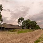 Ginkelse Heide - Groot Ginkel - Sheep Fold - 14