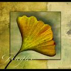 Ginkgo