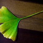 Ginkgoblatt