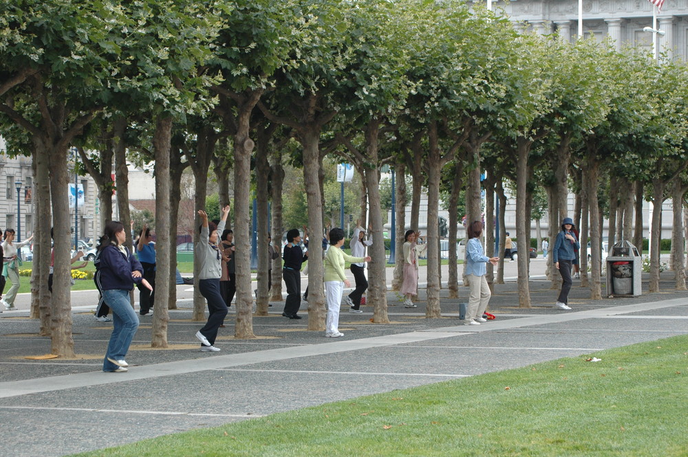 ginnastica a san francisco