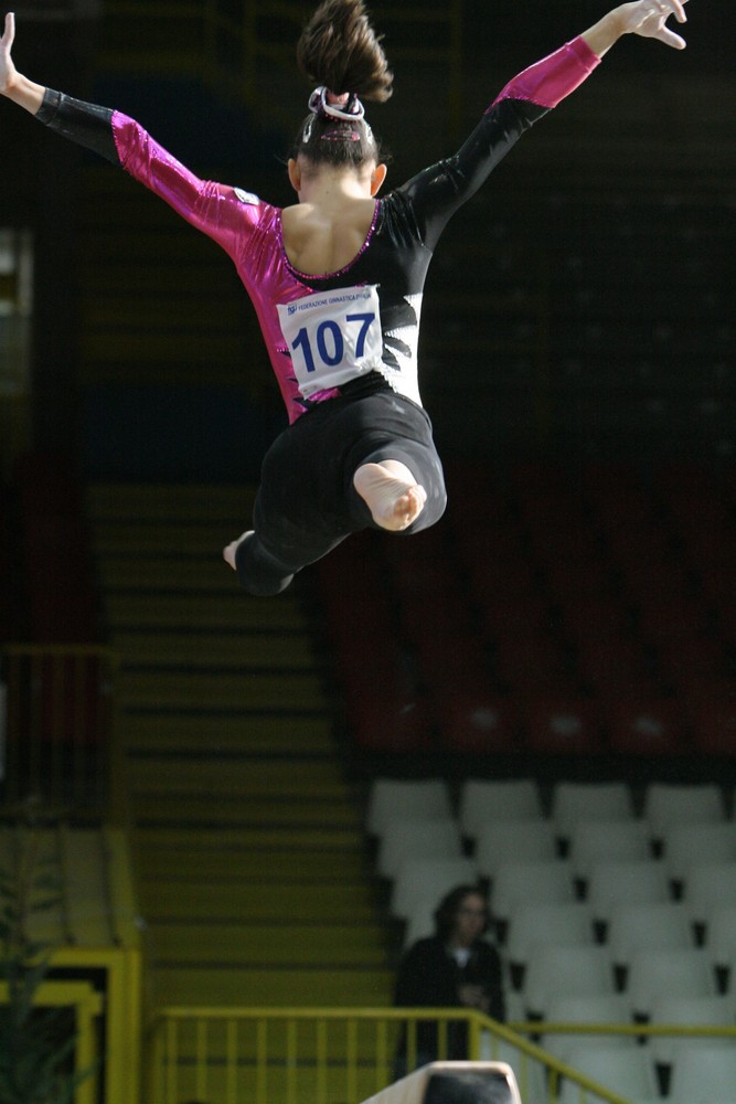 ginnastica artistica