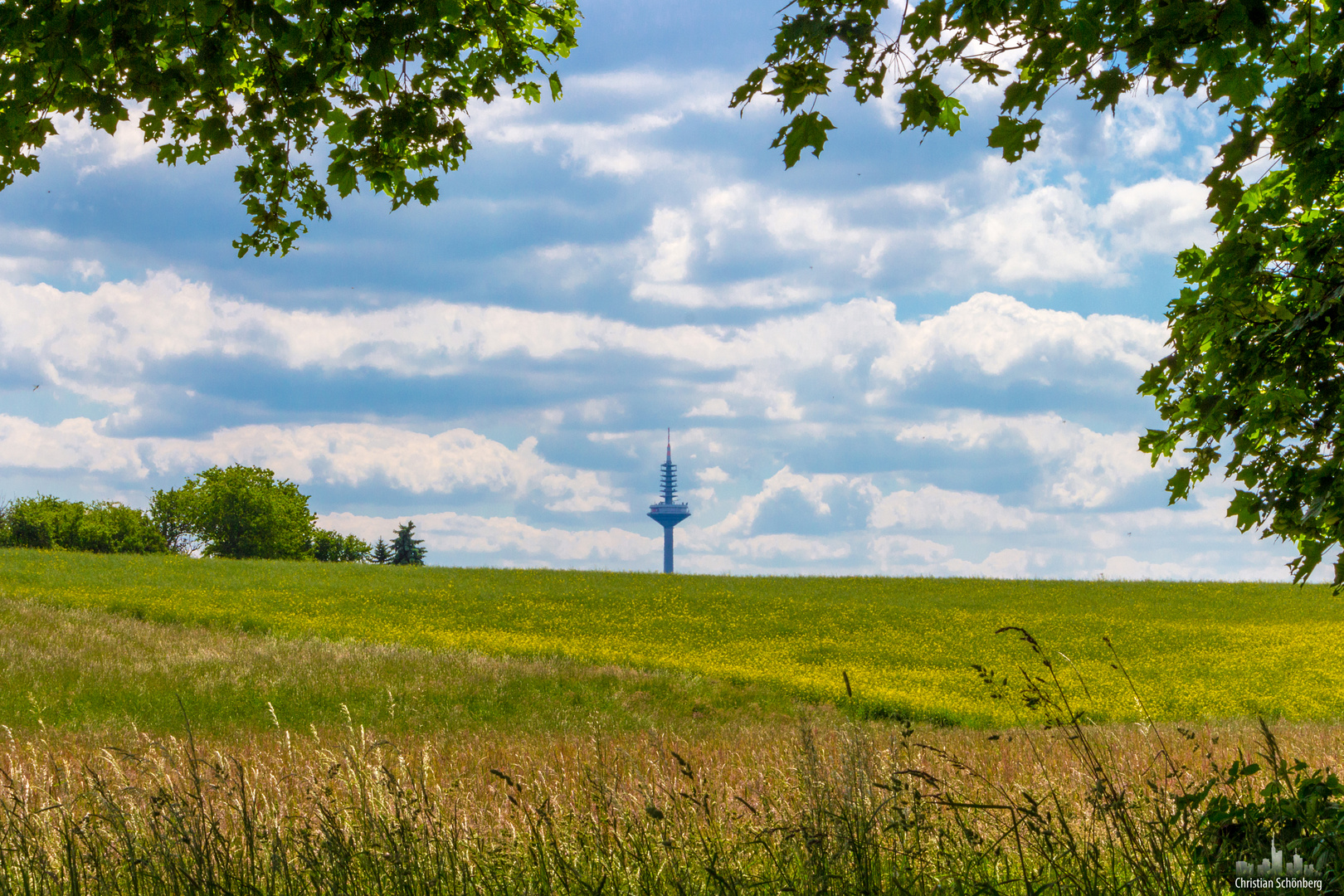 Ginnheimer Spargel hinter den Feldern, Frankfurt Bonames