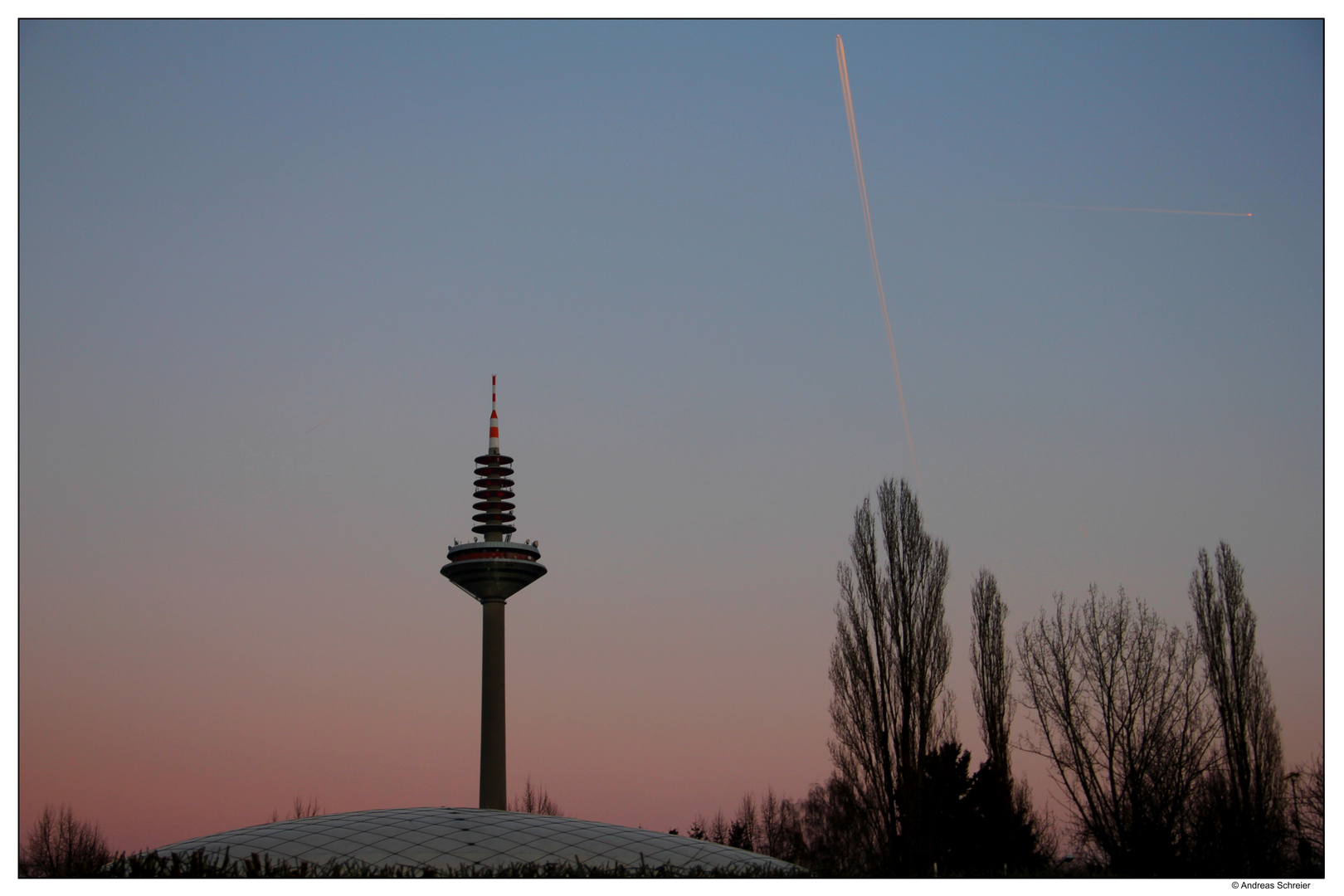 Ginnheimer Spargel im Abendrot