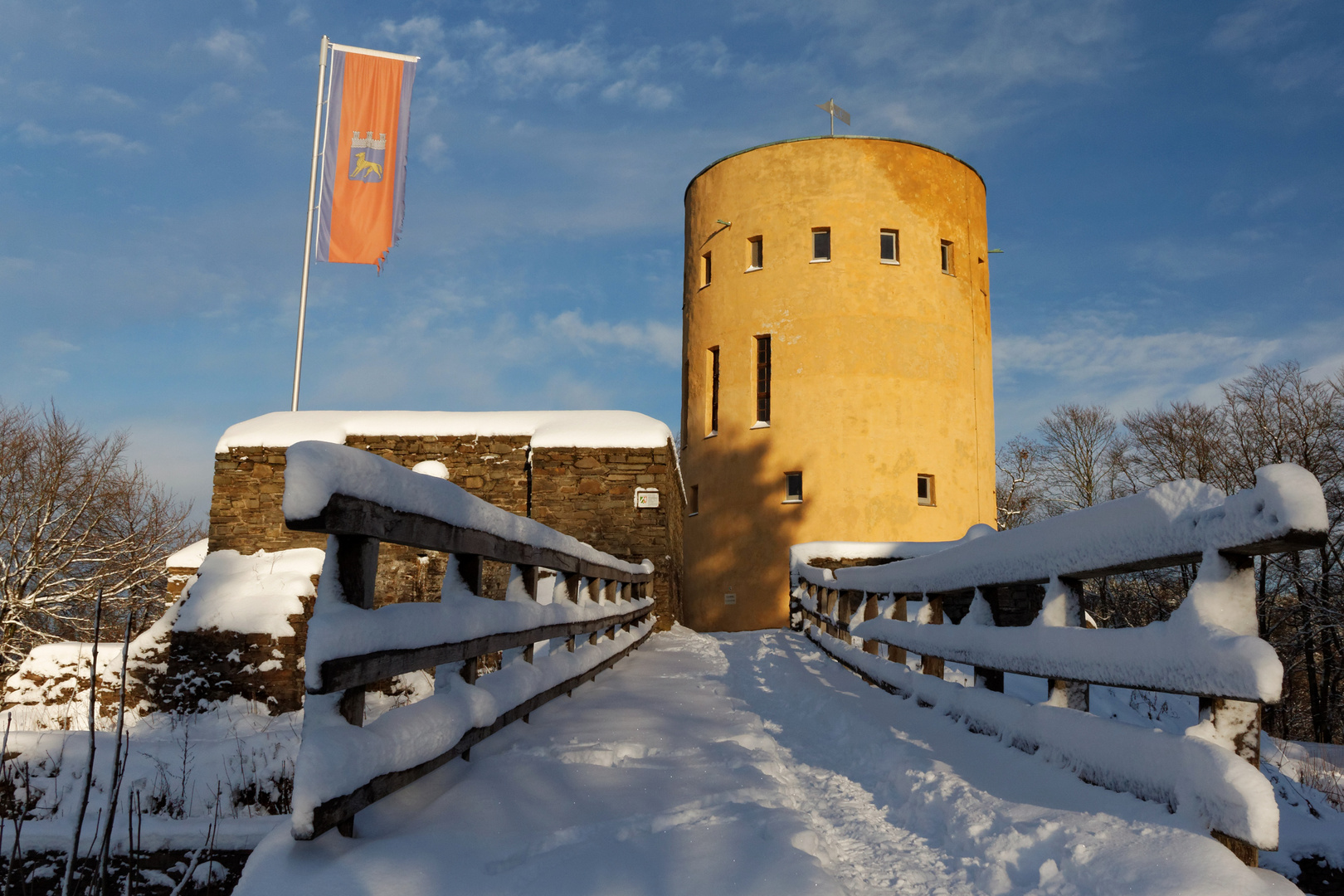 Ginsburg im Schnee