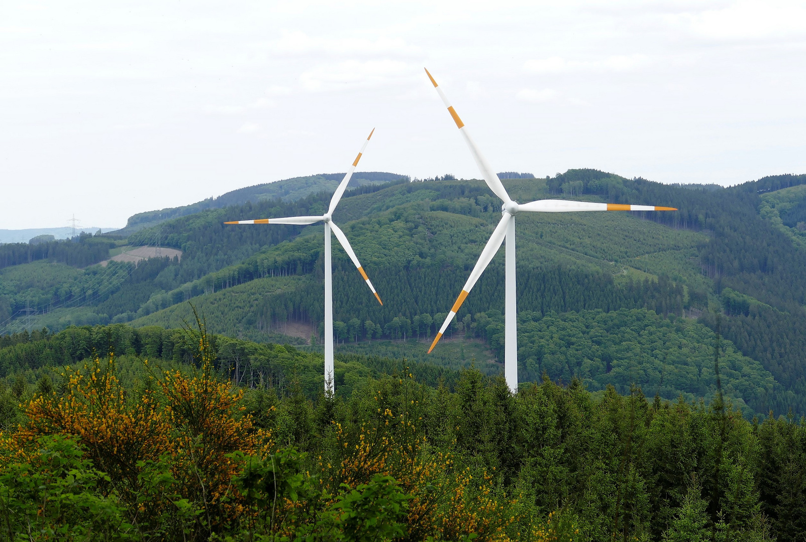 Ginster,Wald und Windkraft