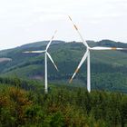 Ginster,Wald und Windkraft