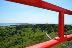 Ginsterzeit Hiddensee 