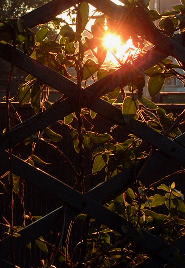 Giocare a nasconderello col sole