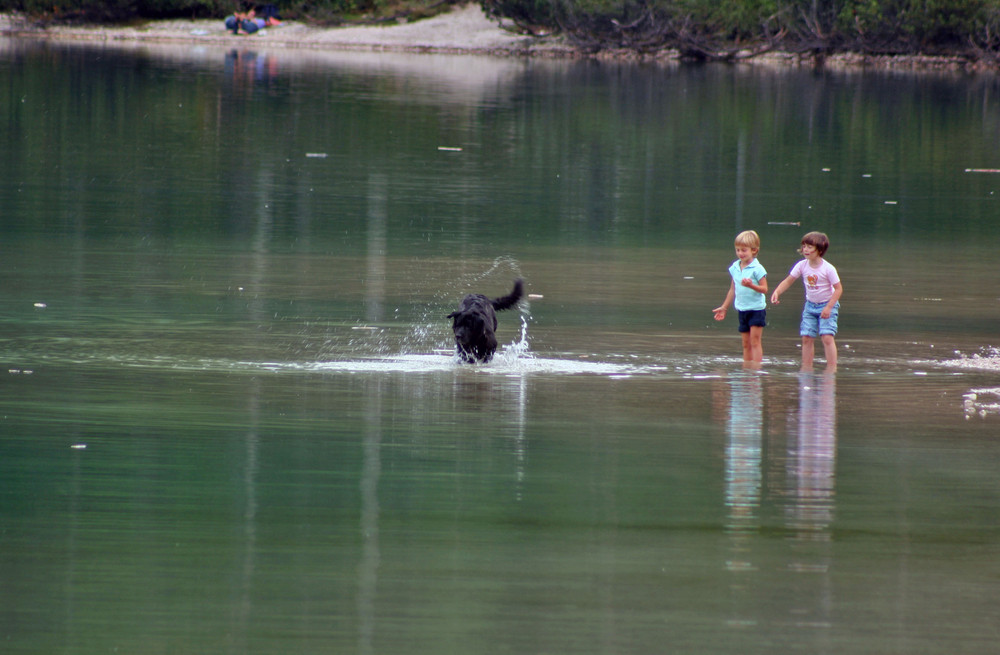 Giochi d'acqua