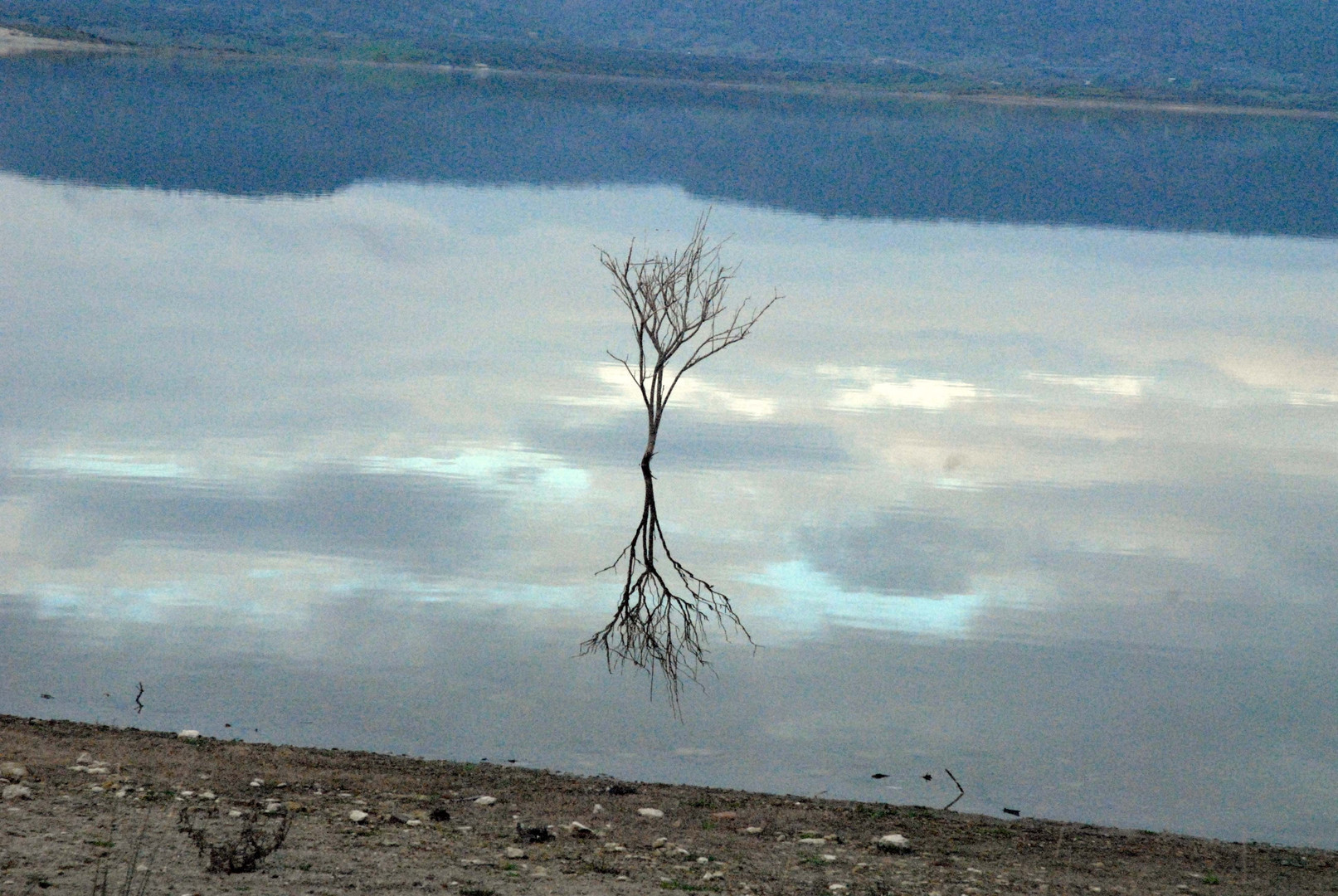 Giochi d'acqua