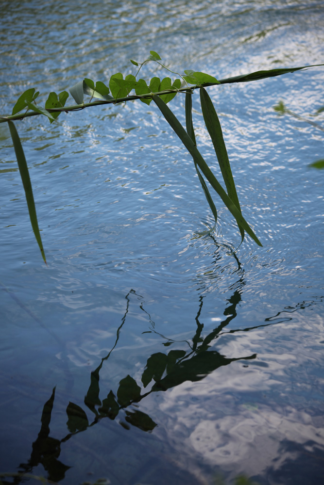 giochi d'acqua