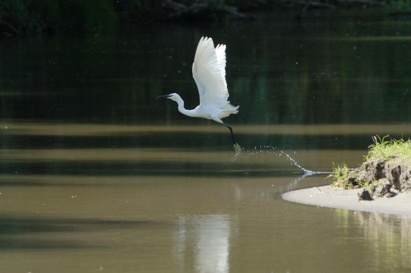 Giochi d'acqua