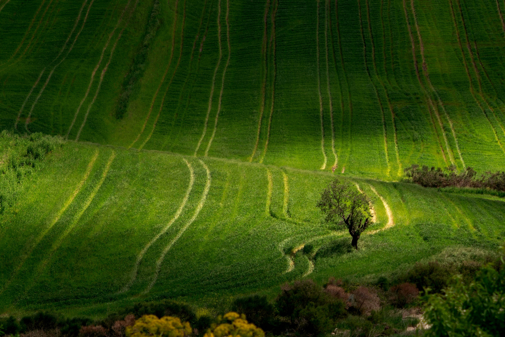 Giochi di luce