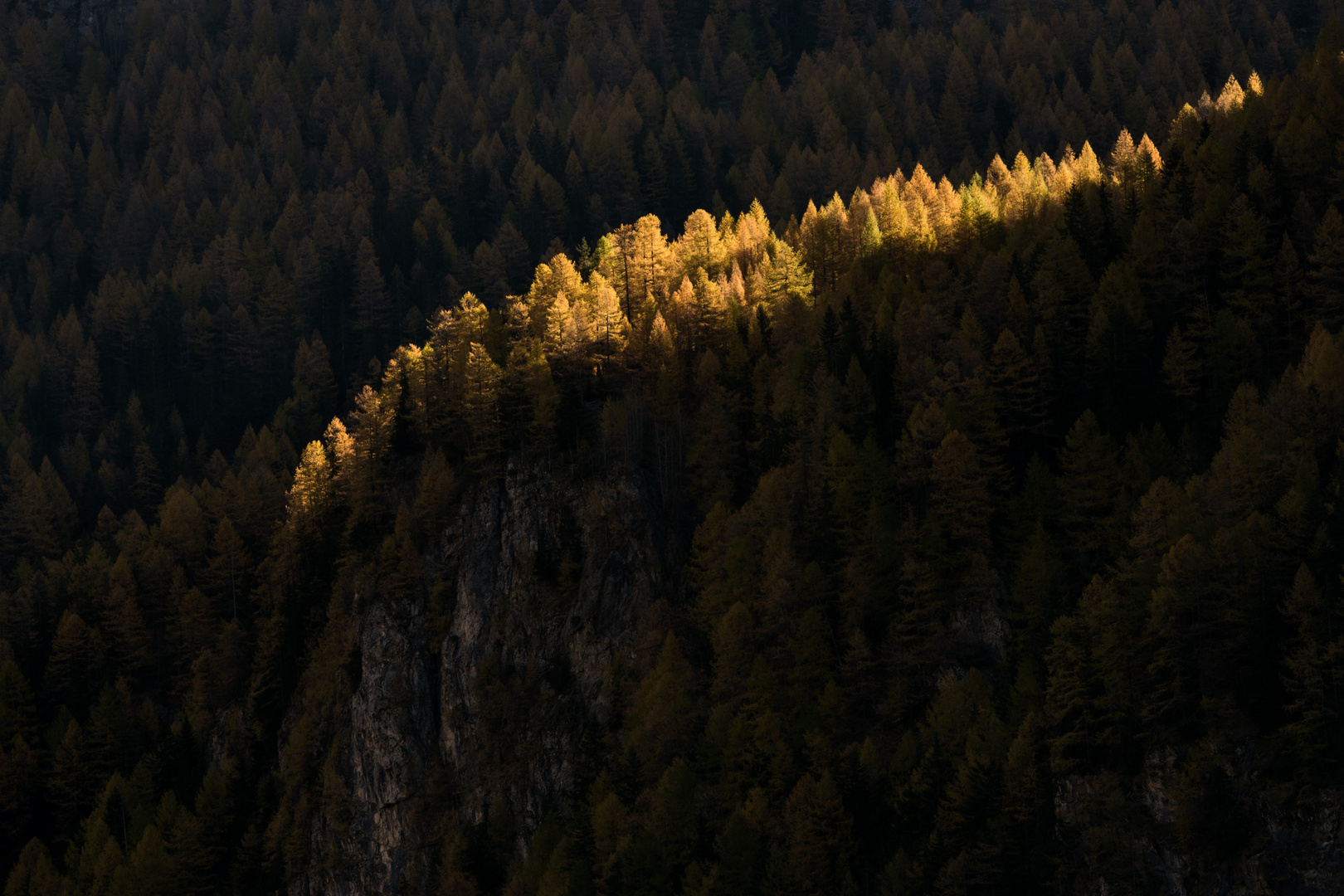 Giochi di luce nel bosco