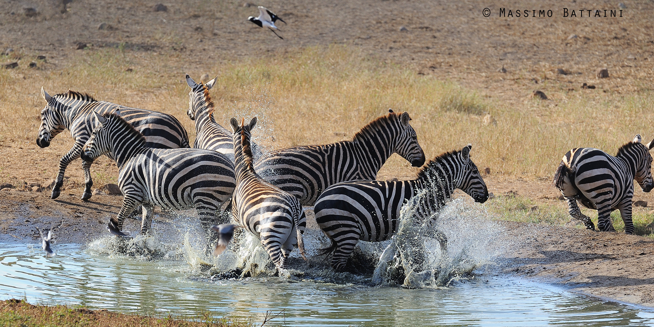 giochi in acqua...