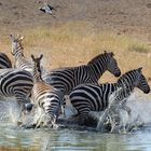 giochi in acqua...