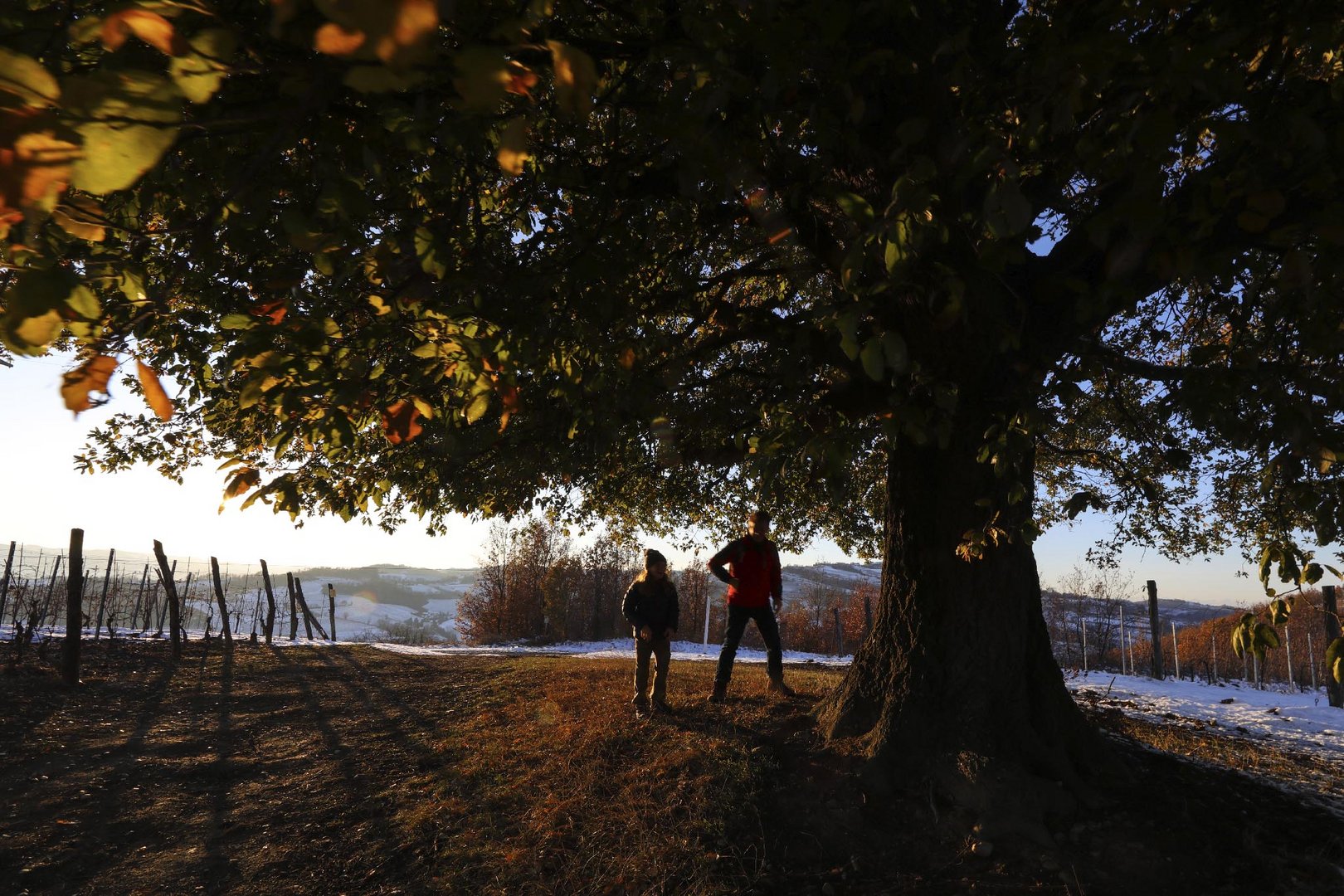 giochi sotto alla quercia