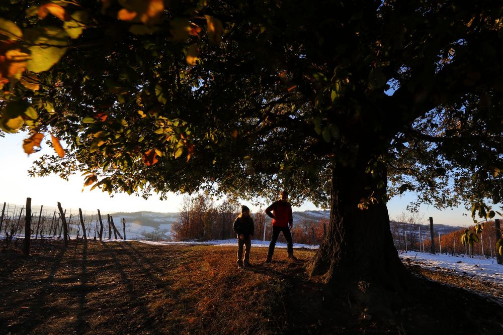 giochi sotto alla quercia