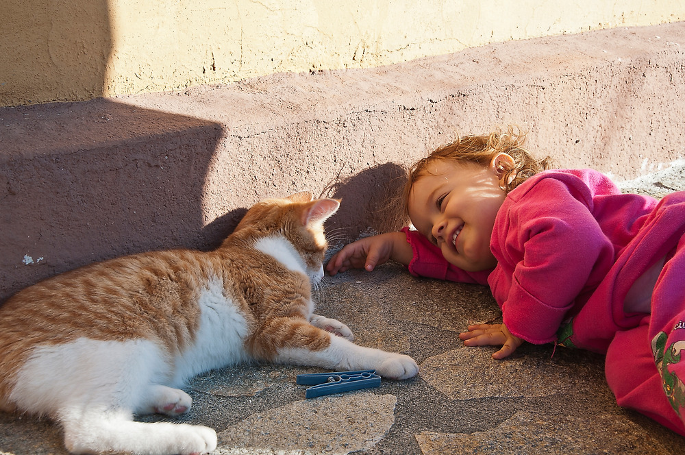 Gioco di cuccioli