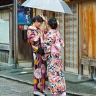 Gion beauties 