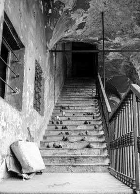 Giornata FAI - Cremona - Chiostro del Corpus Domini