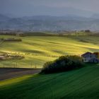 Giornata mondiale della terra