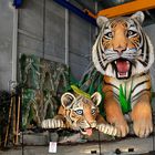 Giornata mondiale della Tigre