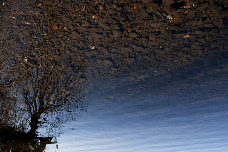 Giornata ... riflessiva