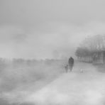 Giorni di nebbia.