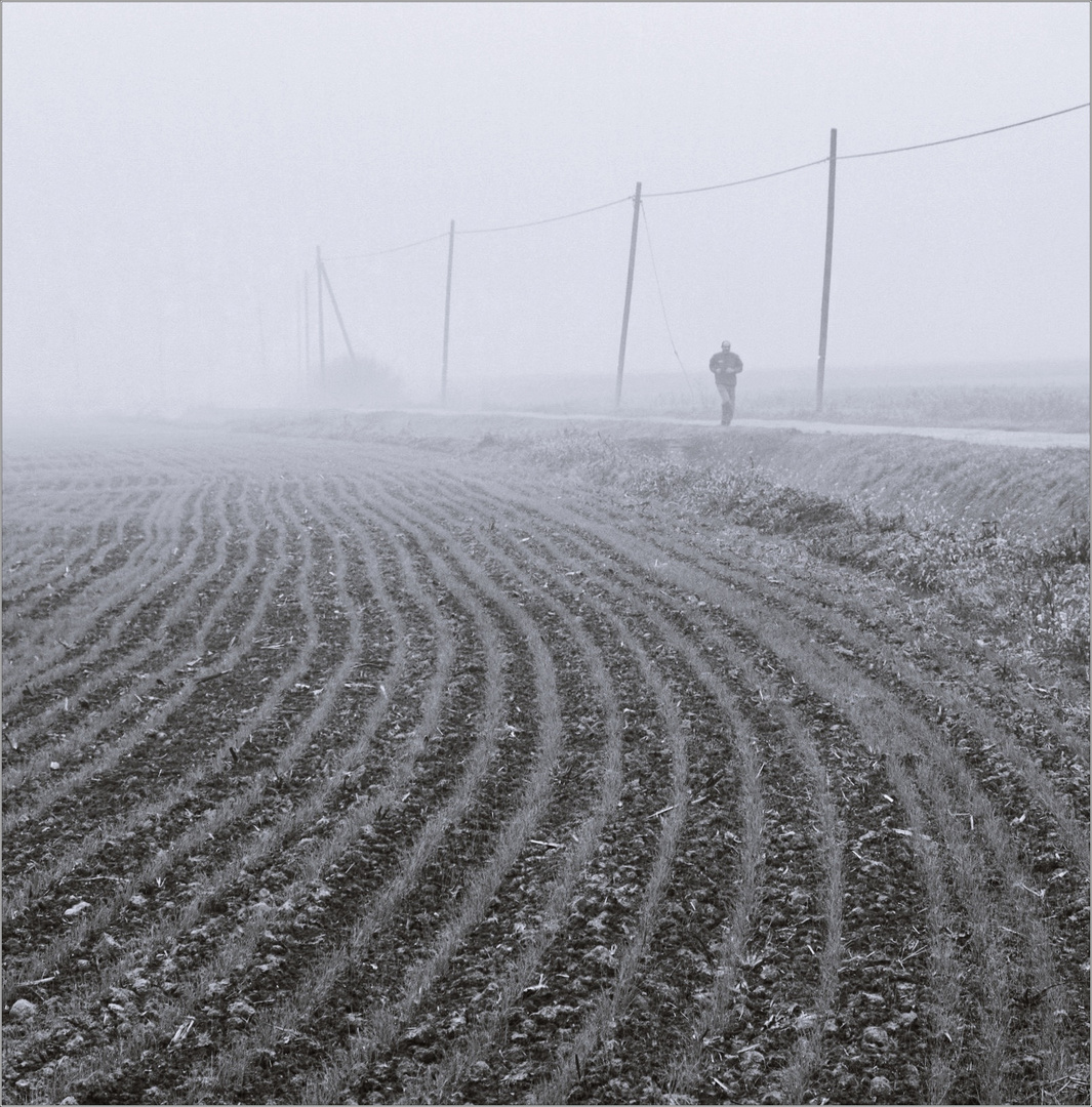 Giorni di nebbia/11