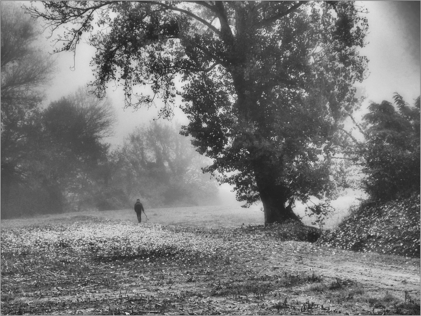 Giorni di nebbia/7