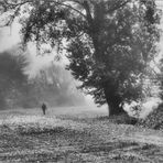 Giorni di nebbia/7