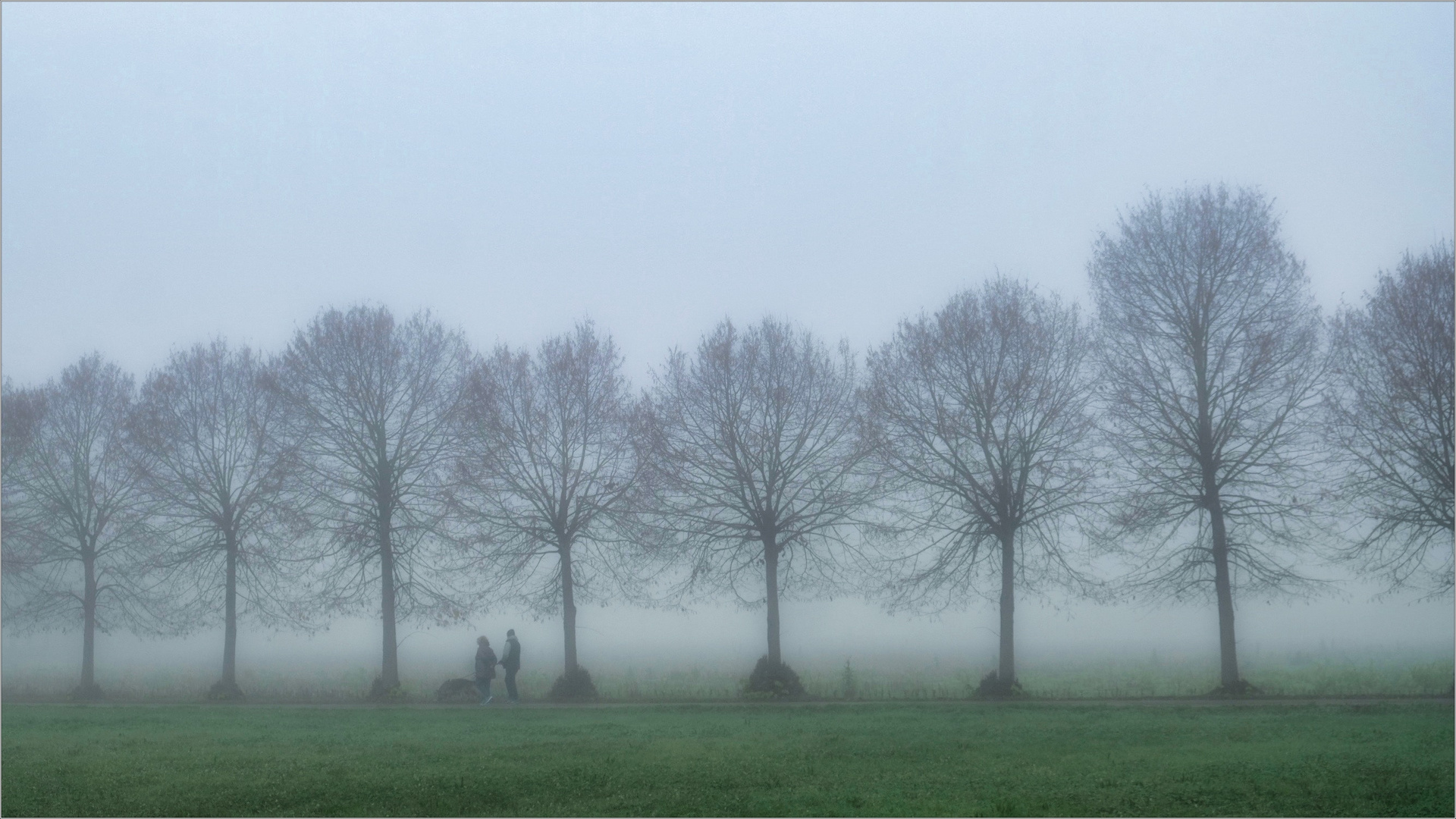 Giorni di nebbia/9