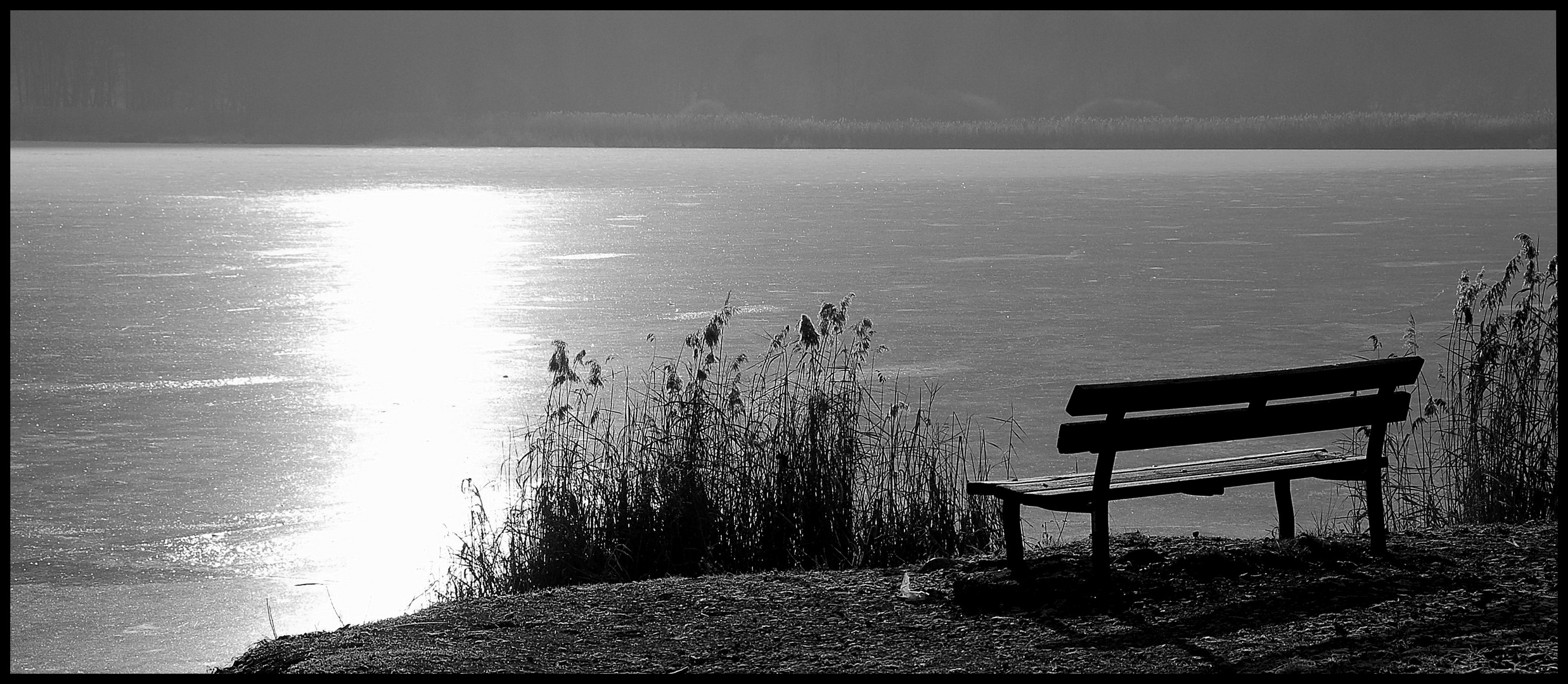 giorni solitari di luce e di gelo