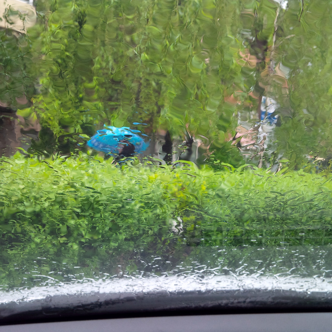 Giorno di pioggia a Dragasani (VL), Romania, aprile 2014