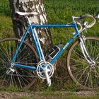 GIOS Compact