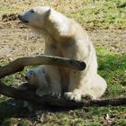 Giovanna mit ihrem Baby