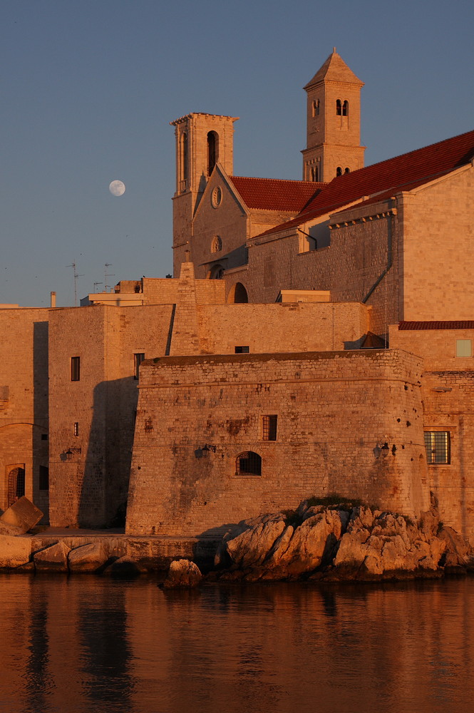 giovinazzo