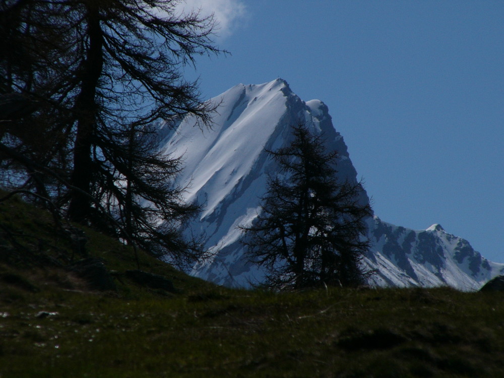 Gipfel auf dem Weg zur Schneeberghütte aufgenommen!