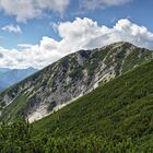 Gipfel des Zwiesel (1782m, bei Inzell)