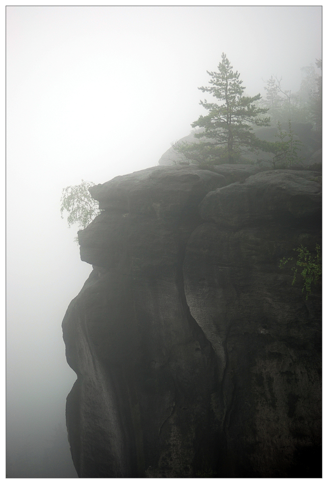 Gipfel im Nebel