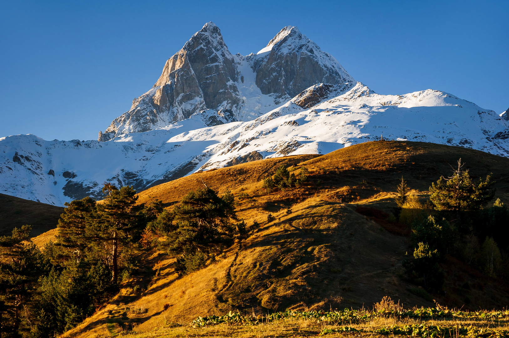 Gipfel Ushba 4700 m.