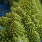 Gipfelanstieg auf den Romanesco