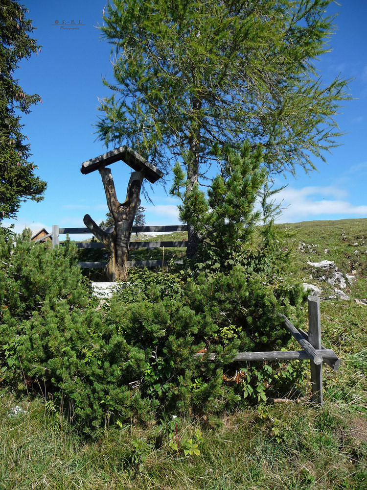 " Gipfelaufstieg am Dobratsch auf 2167m "