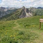 Gipfelausblick Krinnenspitze