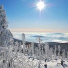 Gipfelblick am Kleinen Arber