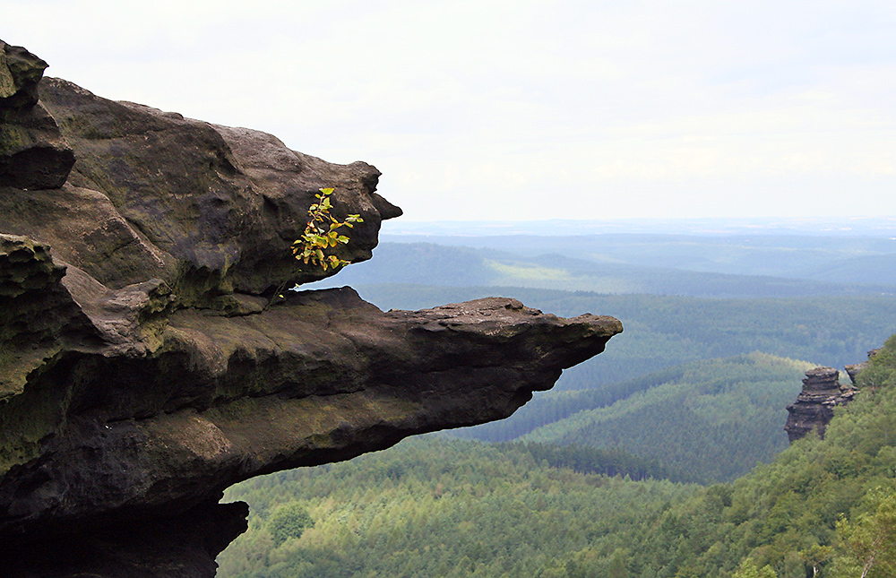 Gipfelblick Großer Zschirnstein