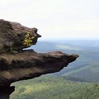 Gipfelblick Großer Zschirnstein