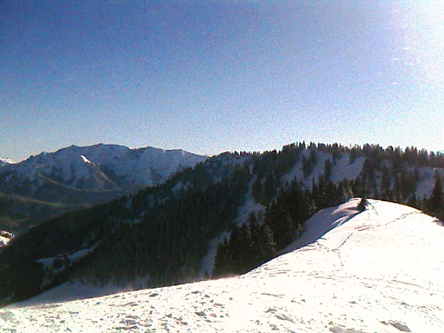 Gipfelgrat zum Roßkopf (1580m)